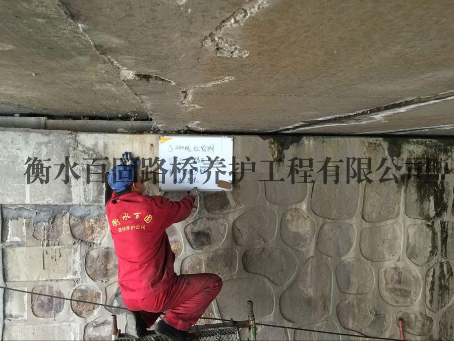 S240�t�r(n��ng)������ճ��̼�w�S�����Y(ji��)��(g��u)�a(b��)��(qi��ng)ʩ���F(xi��n)��(ch��ng)
